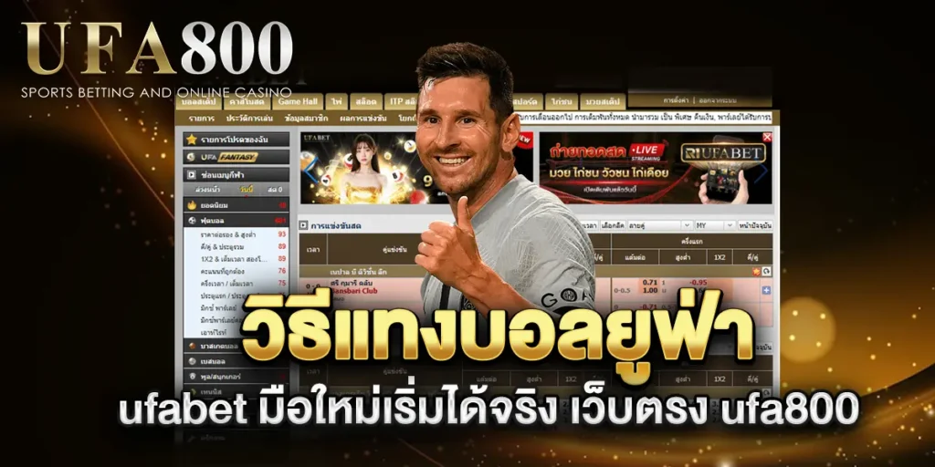 วิธีแทงบอลยูฟ่า-ufabet-มือใหม่เริ่มได้จริง-เว็บตรง-ufa800